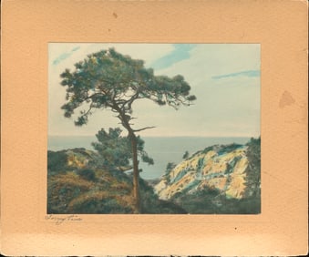 U.S.A. Torrey Pines, La Jolla, California. c1950