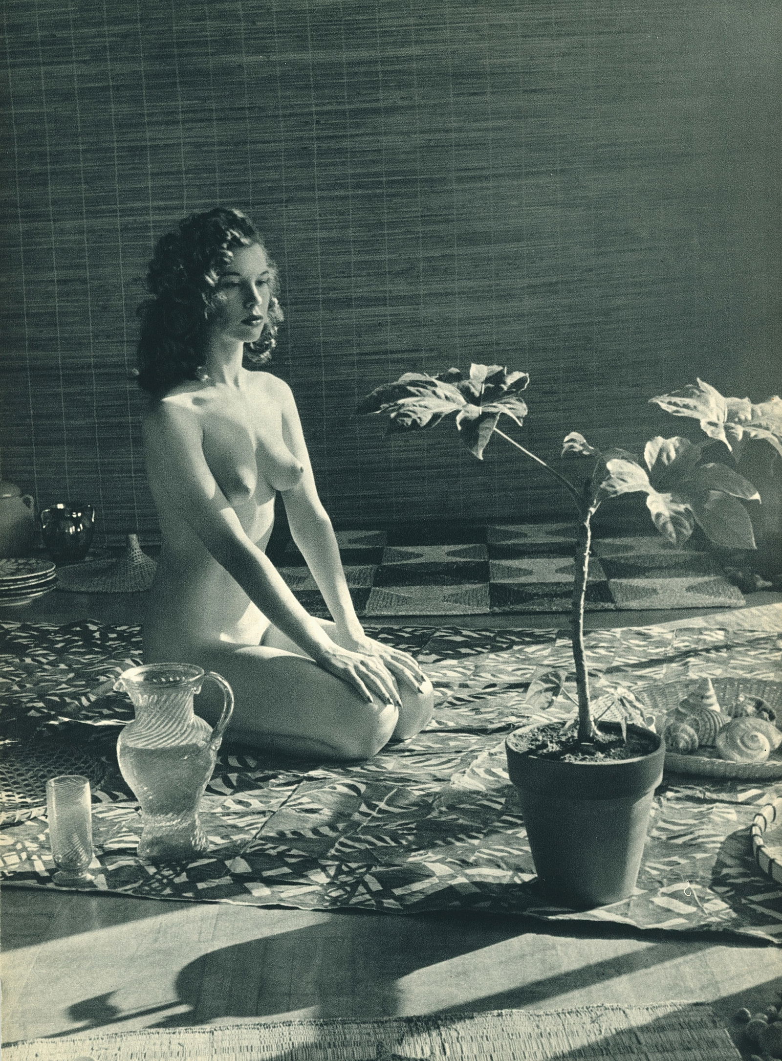 Nude by Andre de Dienes. C1950: Nude by Andre de Dienes. (1913 - 1985). American-Hungarian photographer famous for nude photography and photographs of a young Marilyn Monroe. 11.5 x 9 in. Reverse: 11.5 x 9 in