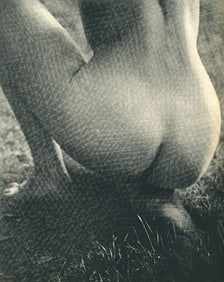 Nude by Martin Munkacsi. C1962