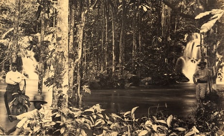 TRINIDAD. The Tropical Forest. c1875