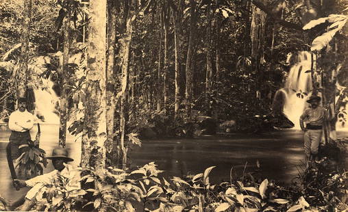 TRINIDAD. The Tropical Forest. c1875: The Tropical Forest. C1875. Very good contrast and tonality. Photographer James Valentine. 5.25 x 8.5 in. Reverse: Kingston, Jamaica.