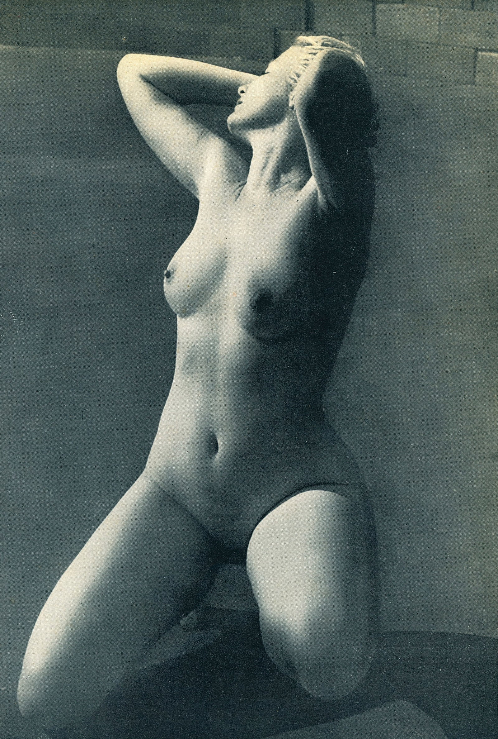 Nude by Andre Dienes. C1952: Nude by Andre de Dienes. (1913 - 1985). American-Hungarian photographer famous for nude photography and photographs of a young Marilyn Monroe. 9.5 x 6.5 in. Reverse: 9.5 x 7.25 in.