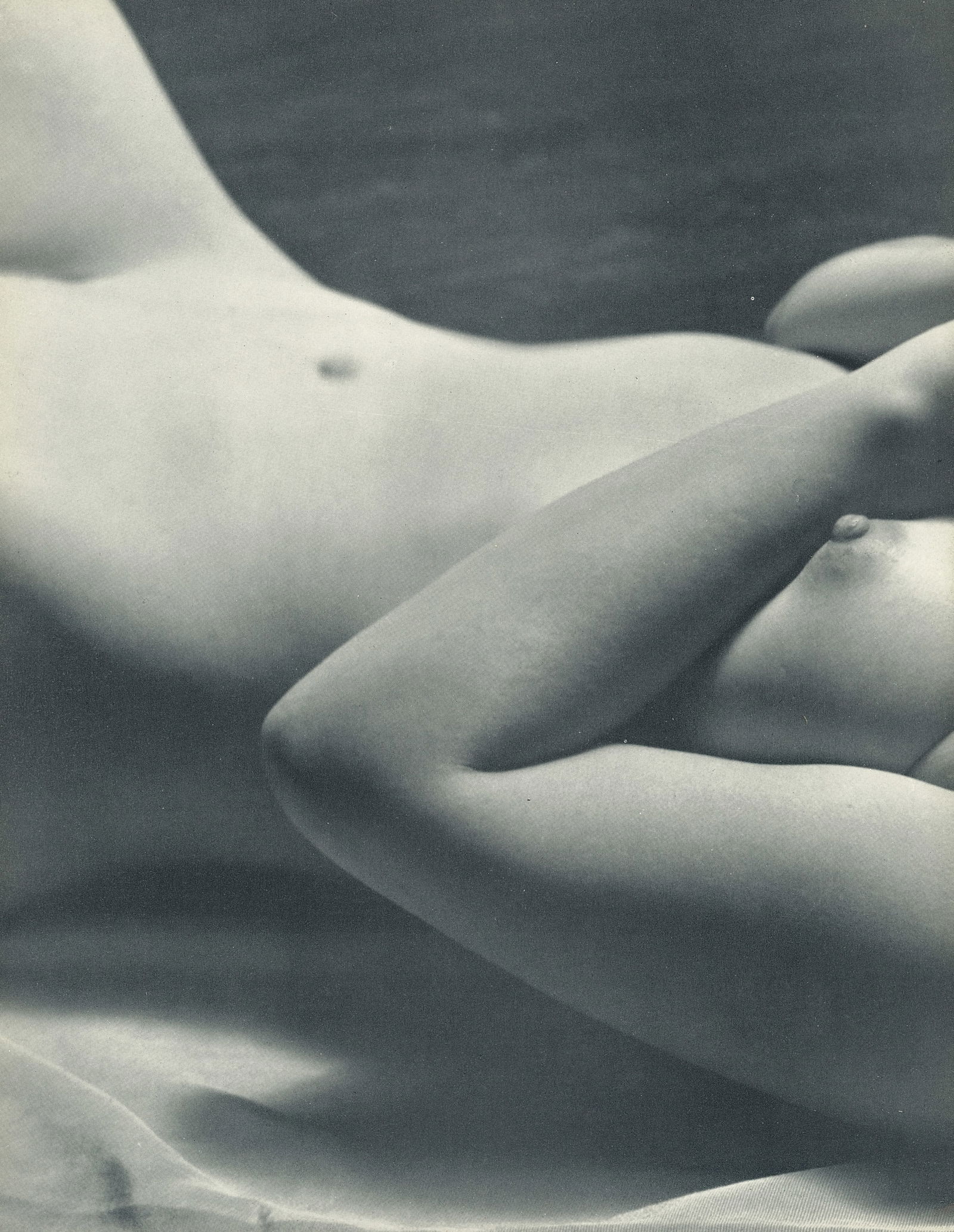 Nude by Andre de Dienes. C1958: Nude by Andre de Dienes. C1958. American-Hungarian photographer famous for nude photography and photographs of a young Marilyn Monroe. 10.75 x 8.25 in. Reverse: 10.75 x 8.25 in.