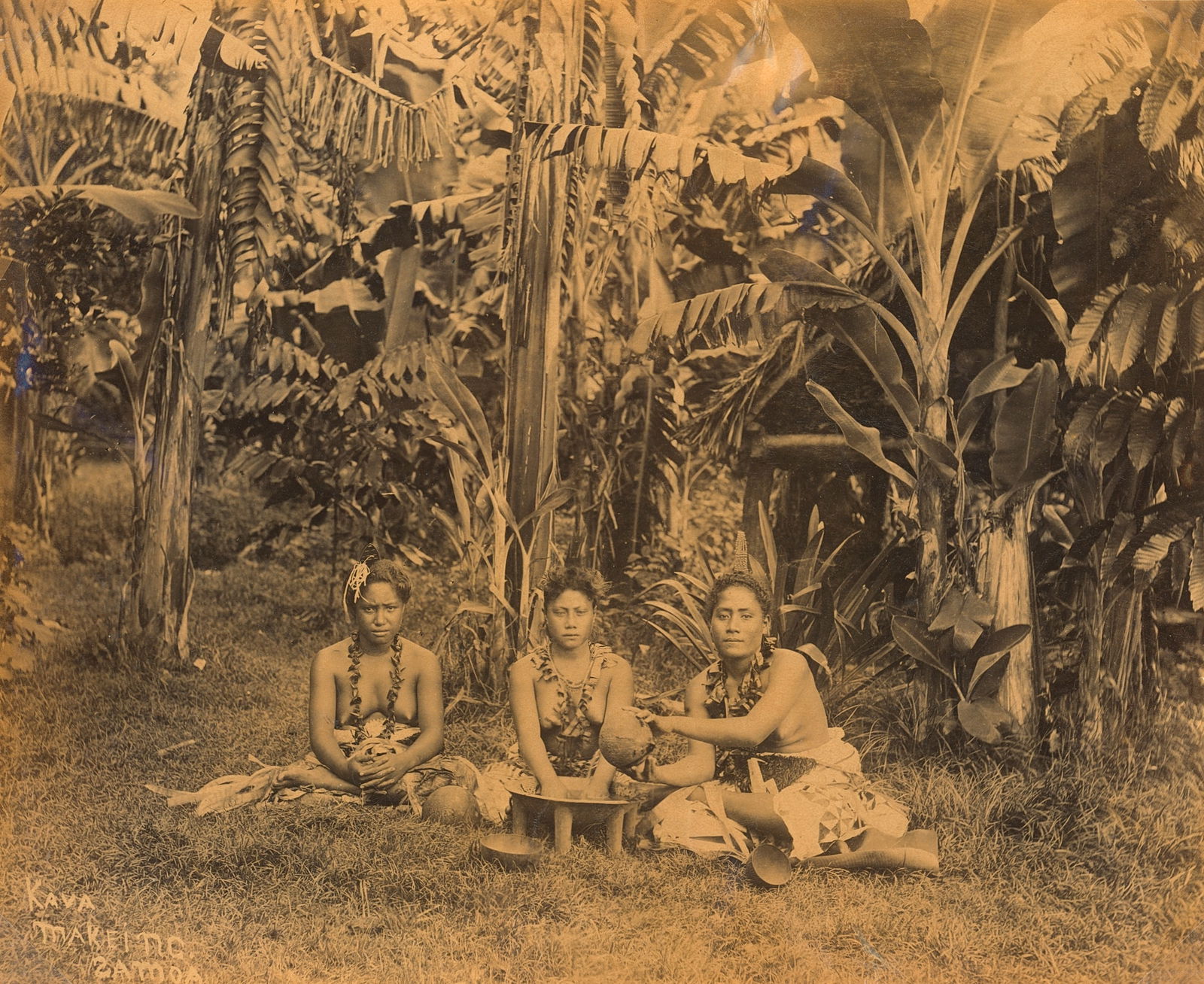 SAMOA. Samoan Women making Kava, c1893: Samoan Women making Kava, c1893. Very contrast and tonality, minor paper distortion . Photographer: Attributed to John Davis . : 7.375 x 9 in. 18.73 x 22.86 cm