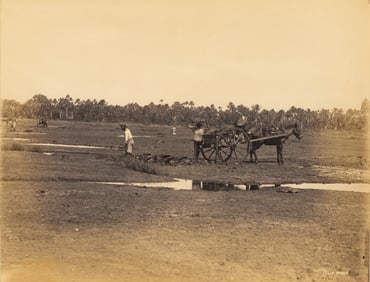 TRINIDAD. La Brea Pitch Lake, Caribbean. C1880