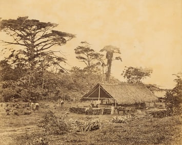 TRINIDAD. A Cane Shed on a Sugar Estate. C1880