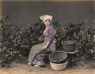 JAPAN. Beautiful Tea Picker. C1875