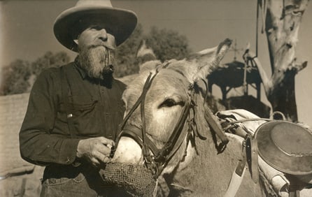 GOLD MINERS. Prospector and his Donkey. C1950