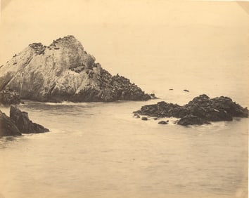 U.S.A. Seal Rock, Pacific Ocean. C1875