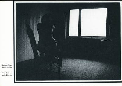 Hungarian Nude. C1982