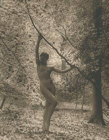 Nude Vandyck photogravure by Walter Bird, 1938