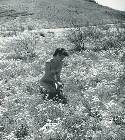 Nude by Andre de Dienes. C1954