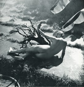 Nude by Andre de Dienes. C1954