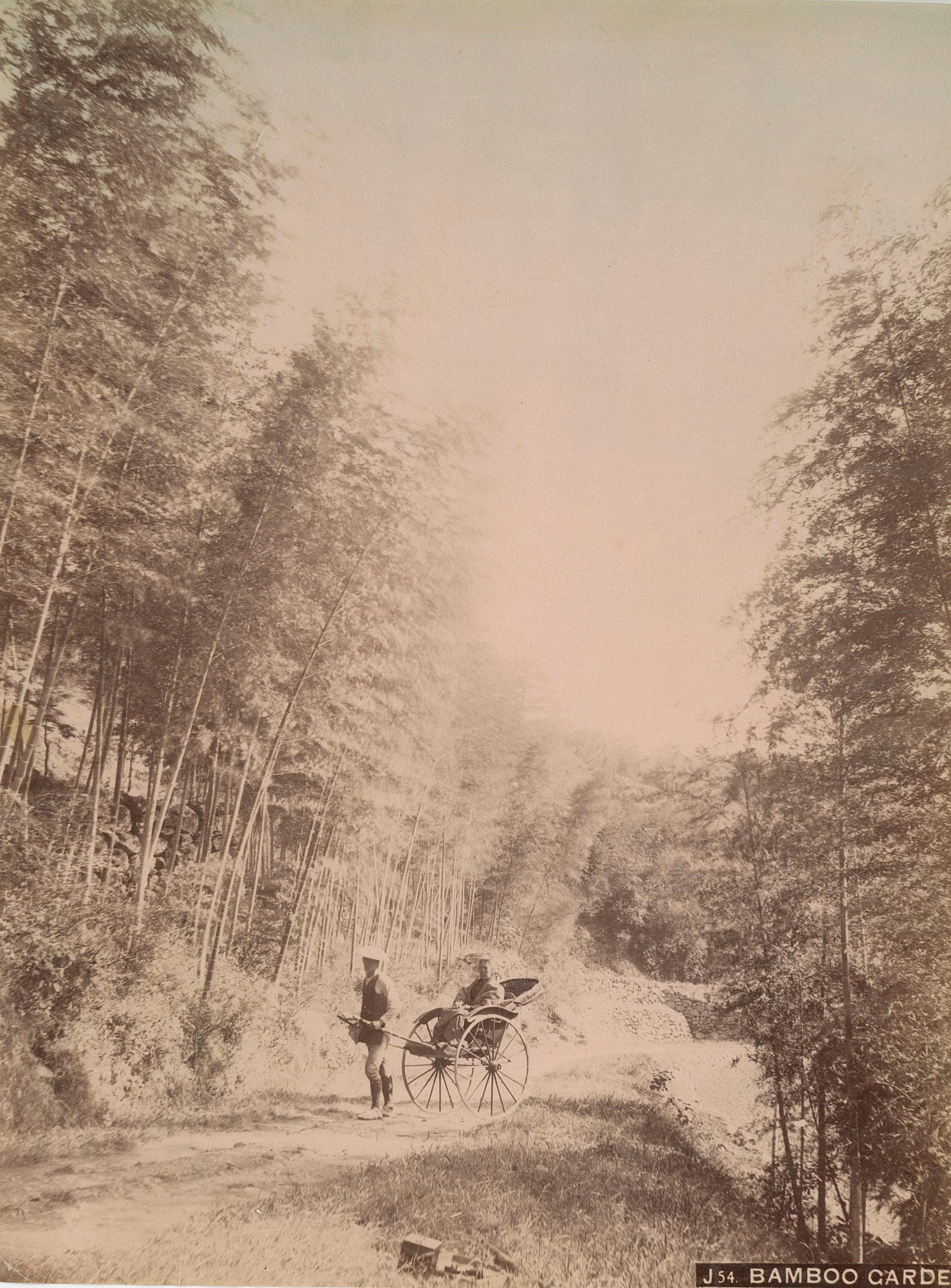 Bamboo Garden. Japan. c1880 (1 of 1)
