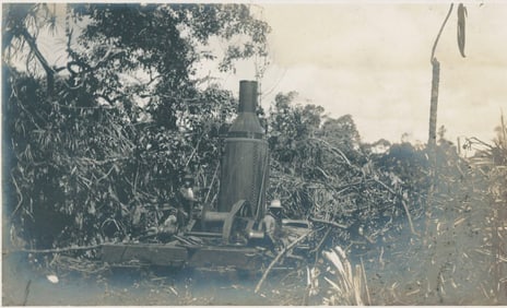 Sugar Cane Plantation, Hawaill. C1910