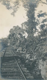Sugar Cane Plantation, Hawaill. C1910
