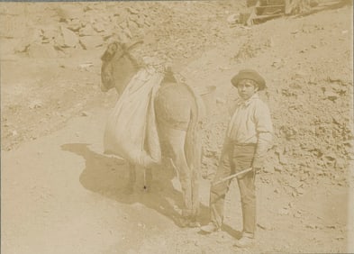 A Boy and his Donkey. C1910