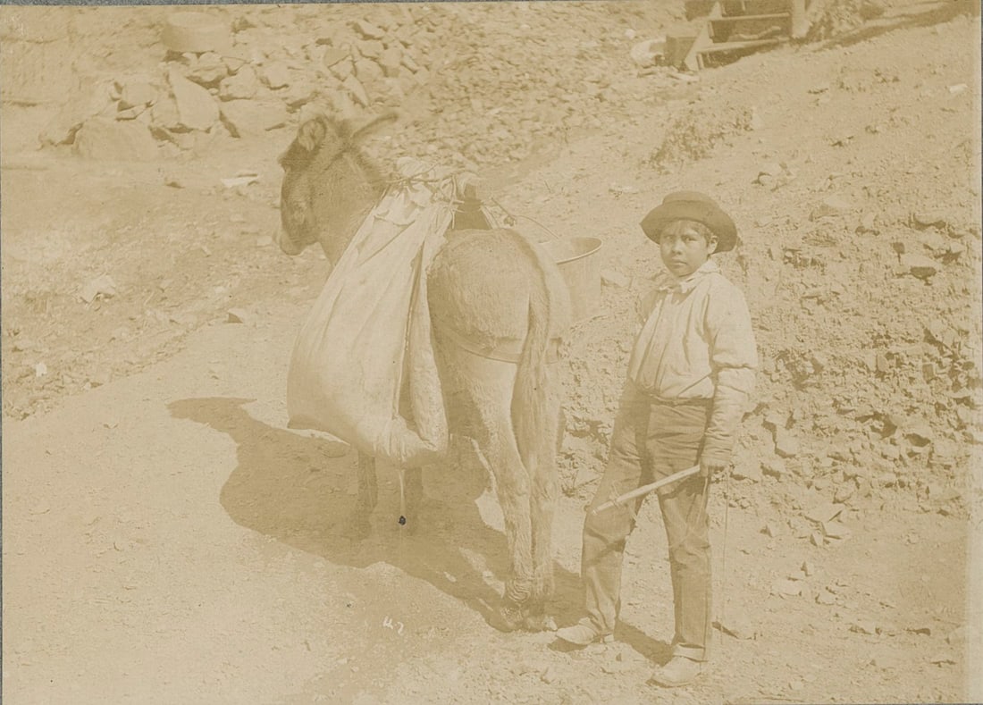 A Boy and his Donkey. C1910: A Boy and his Donkey. C1910. 4 x 5.5 in