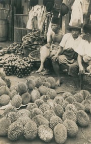 Durian Fruit in Batavia Market, Java. C1930