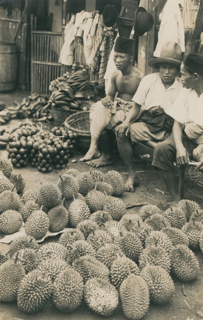 Durian Fruit in Batavia Market, Java. C1930