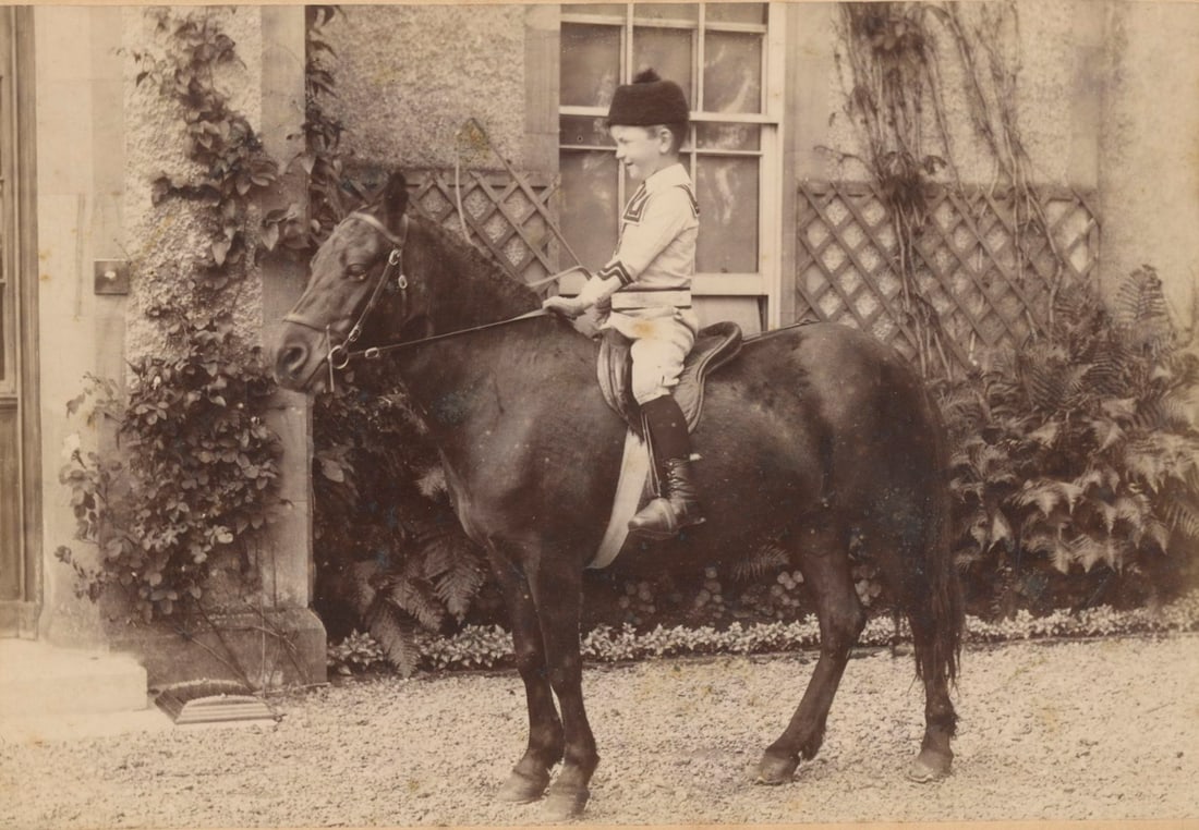 Horse Transport. c1890: Horse Transport. C1890. Very good contrast and tonality. Photographer: A.R. Edwards. Cabinet Card. 4 x 5.875 in.