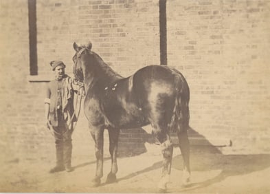 Horse Transport. C1870