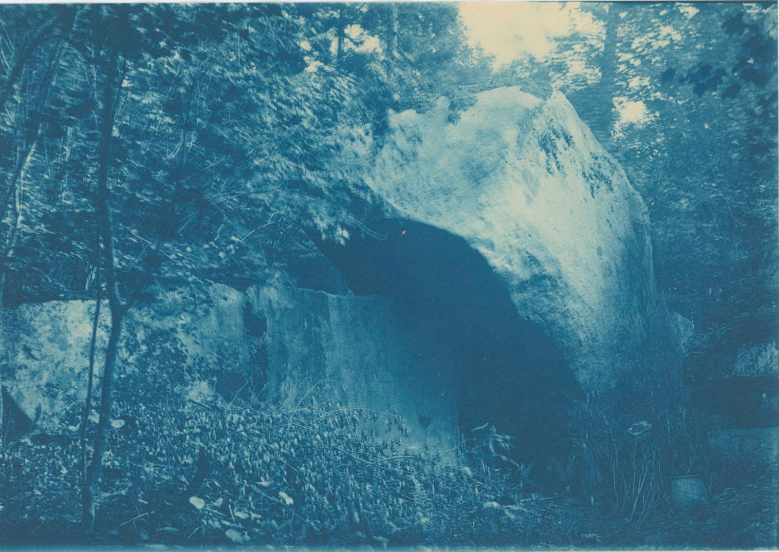 Cyanotype, Rocks and Trees. c1890: Cyanotype, Rocks and Trees. C1890. Good contrast and tonality. Unidentified photographer. 4.5 x 6.5 in.