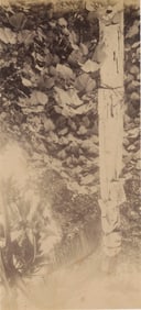 Totem Pole, Friendly Isles (Tonga). c1890
