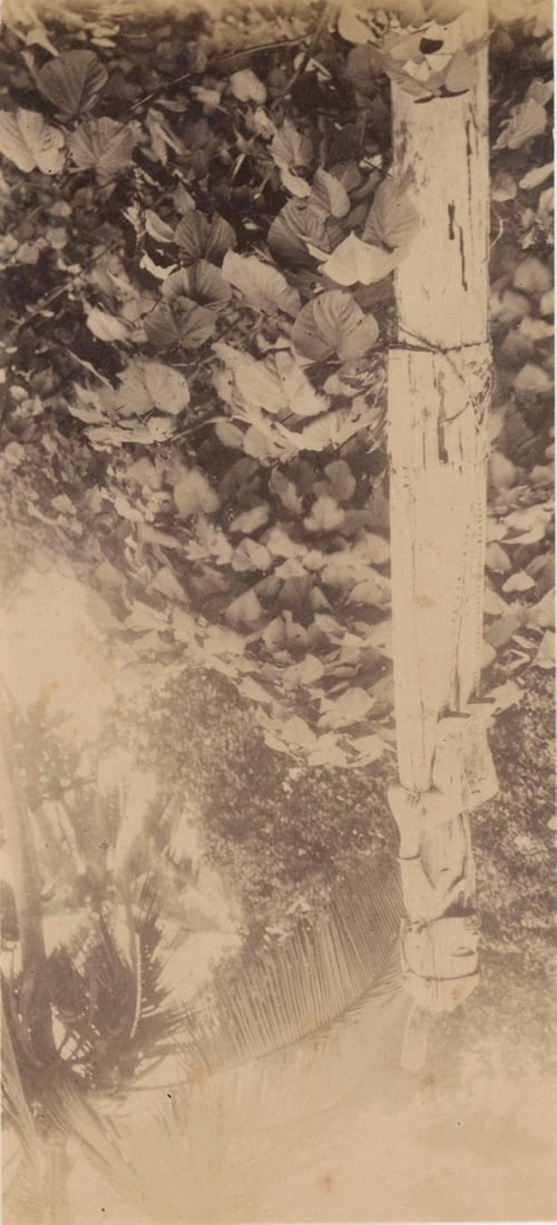 Totem Pole, Friendly Isles (Tonga). c1890 (1 of 1)