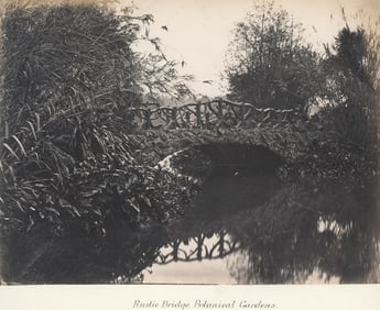 Royal Botanical Gardens, Sydney, Australia. Album sheet. c1890