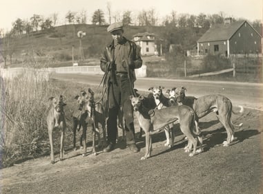 Greyhounds, Fairview Kennel, Kansas City. MO. c1925