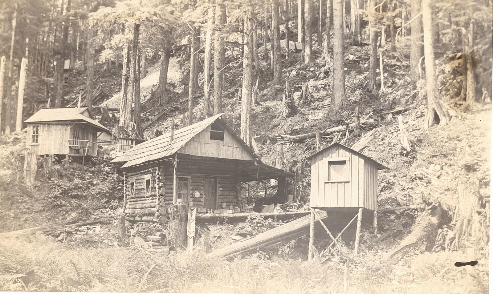 Log cabins in the woods. C1890: Log cabins in the woods. C1890. Fair contrast and tonality. 4.5 x 7.375 in.