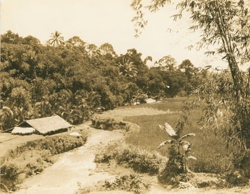 Buiteneorg, Java. c1925