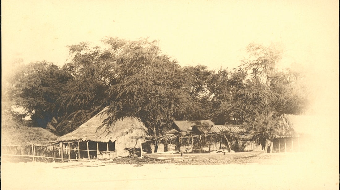 HAWAII. Native Village. c1910