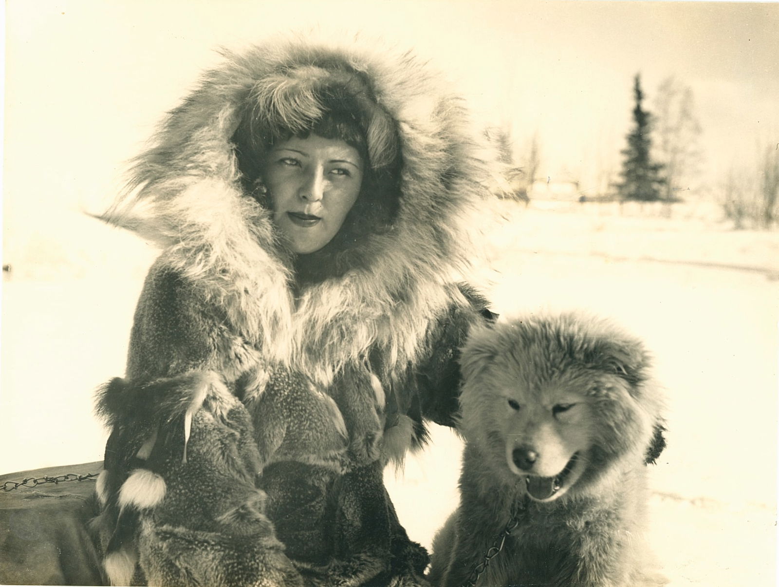 Iditerod Dog Sledder with her Husky. c1950 (1 of 1)
