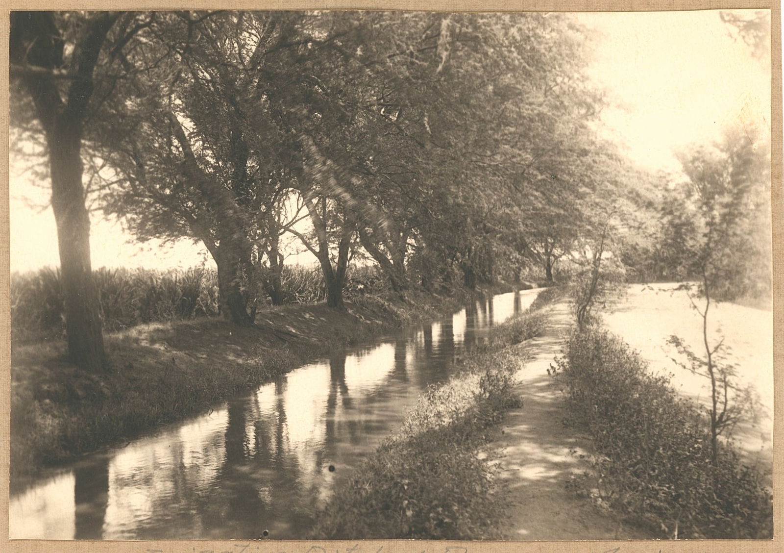 Puuneno, Maui, HI. c1910: Puuneno, Maui, HI. C1910. By Ernest Moses. 4.375 x 6.25 in.