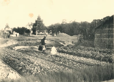 Growing Vegeltables in French Indo-China. c1920