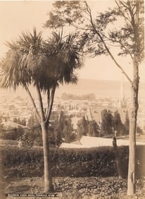 Dunedin from Royal Terrace, New Zealand. c1890