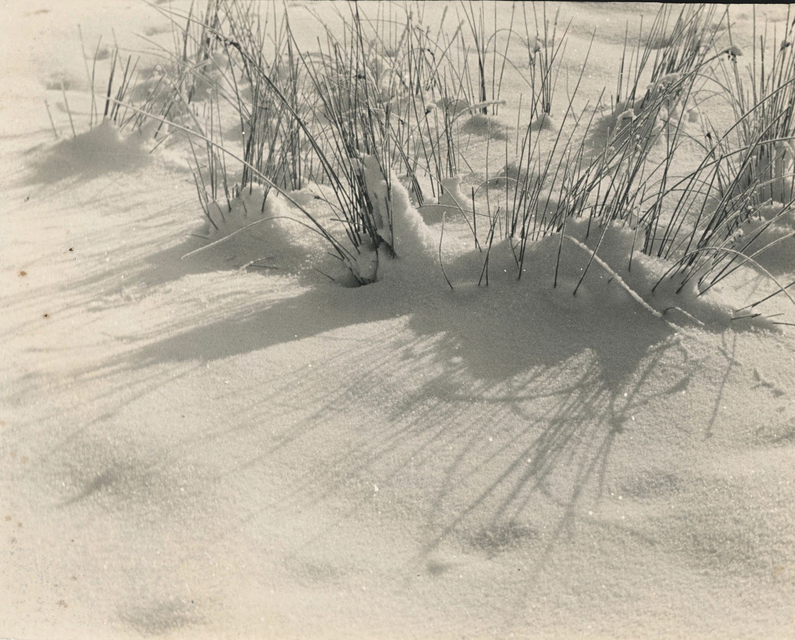 Snow Scene. c1935: Snow Scene. C1935. Very good contrast and tonality. 7.75 x 8.75 in