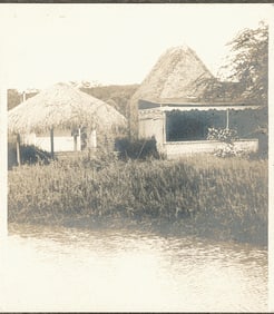 Native Huts, Hawaii. C1910