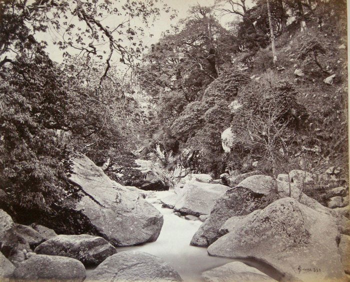 View on the Kholee, Kangra Valley. C1863: View on the Kholee, Kangra Valley. C1863. Condition: Very good contrast and tonality. Photographer#533.r: Samuel Bourne. 9.75 x 11.75 inches