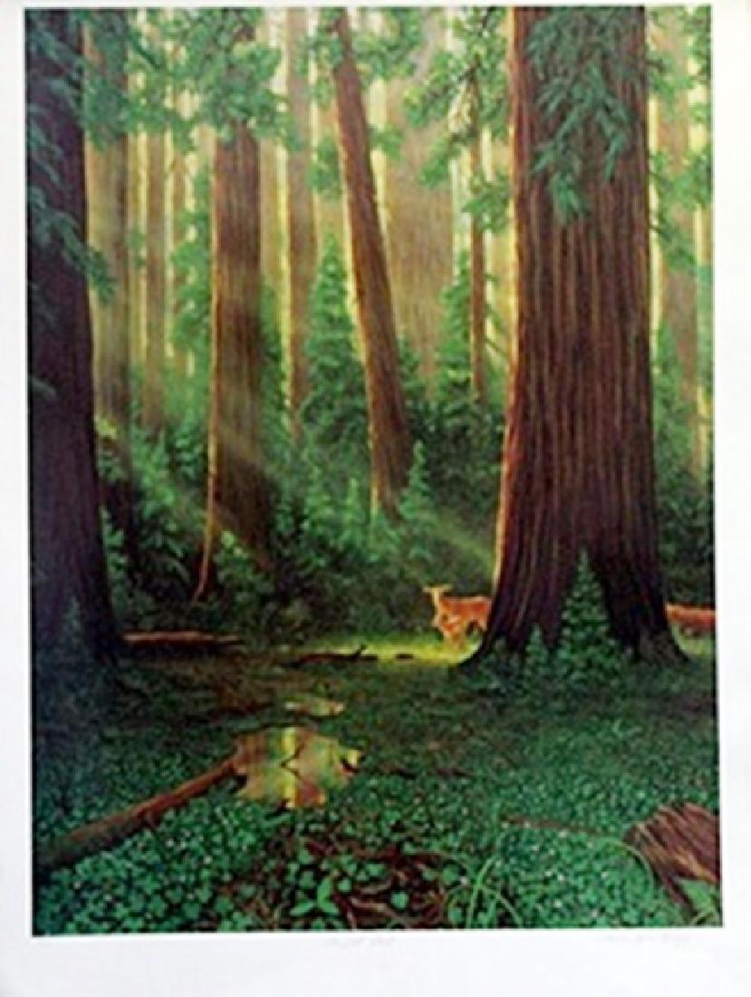 Drawing On Paper - Odilon Redon: Drawing on paper by Odilon Redon, approx. 16x12 in. Odilon Redon was a French symbolist painter, printmaker, draughtsman and pastellist.