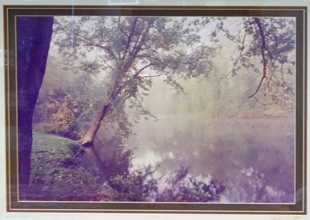 Clyde Butcher, Photograph, "Swany" 26/250 (1 of 1)