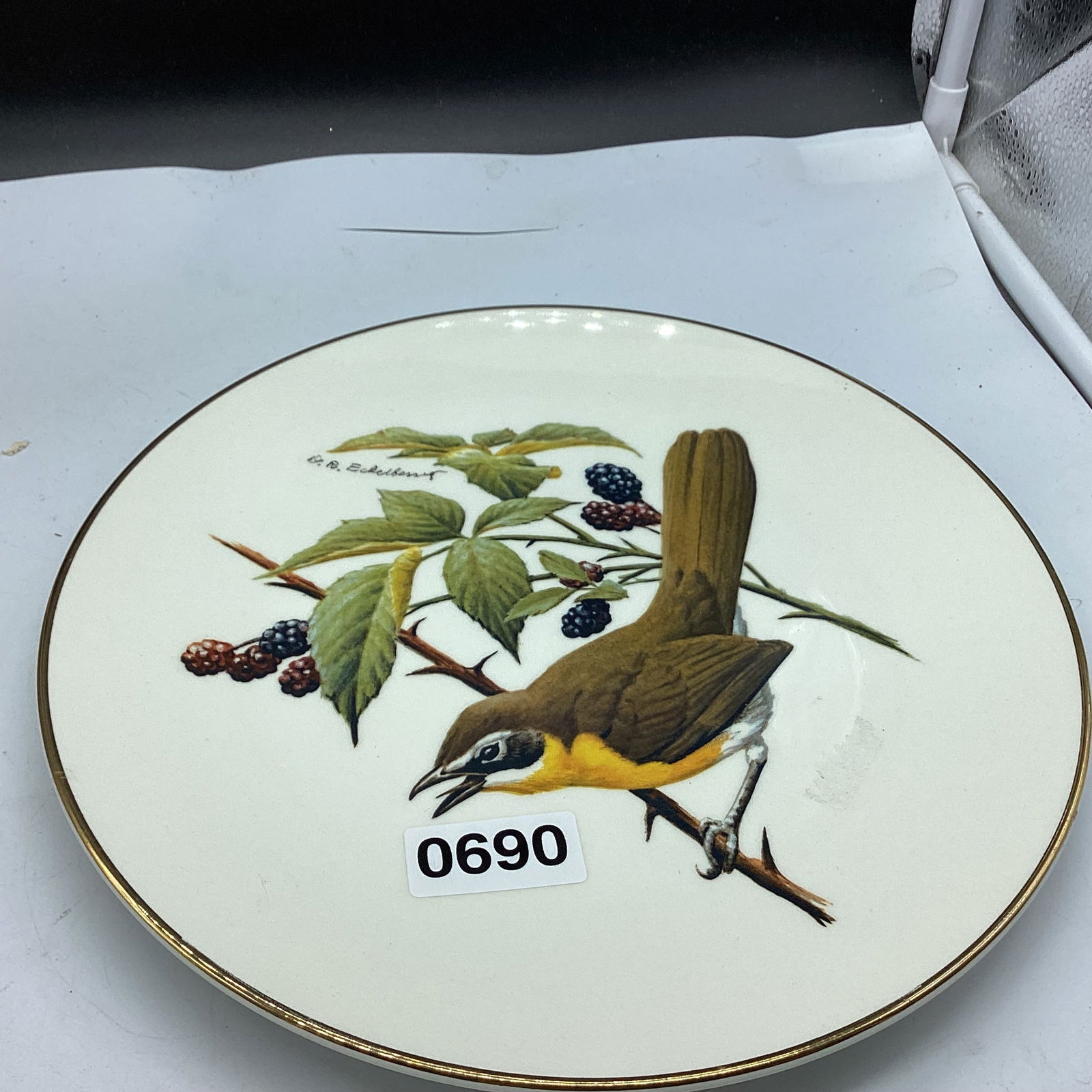 YELLOW BREASTED CHATG NORTHIN BIRDS BY AVON (1 of 3)