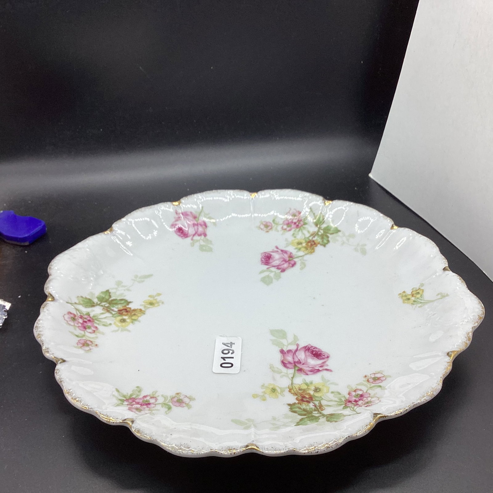 HAND PAINTED PORCELIAN PLATE BY BAVARIA: 12 1/2" WIDE GOOD SHAPE