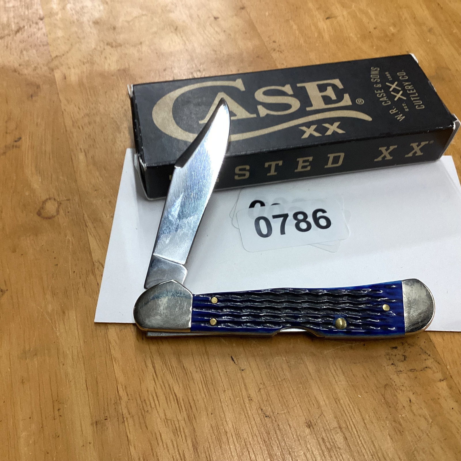 CASE 2025 BLUE BONE MINI COPPERLOCK - 2
