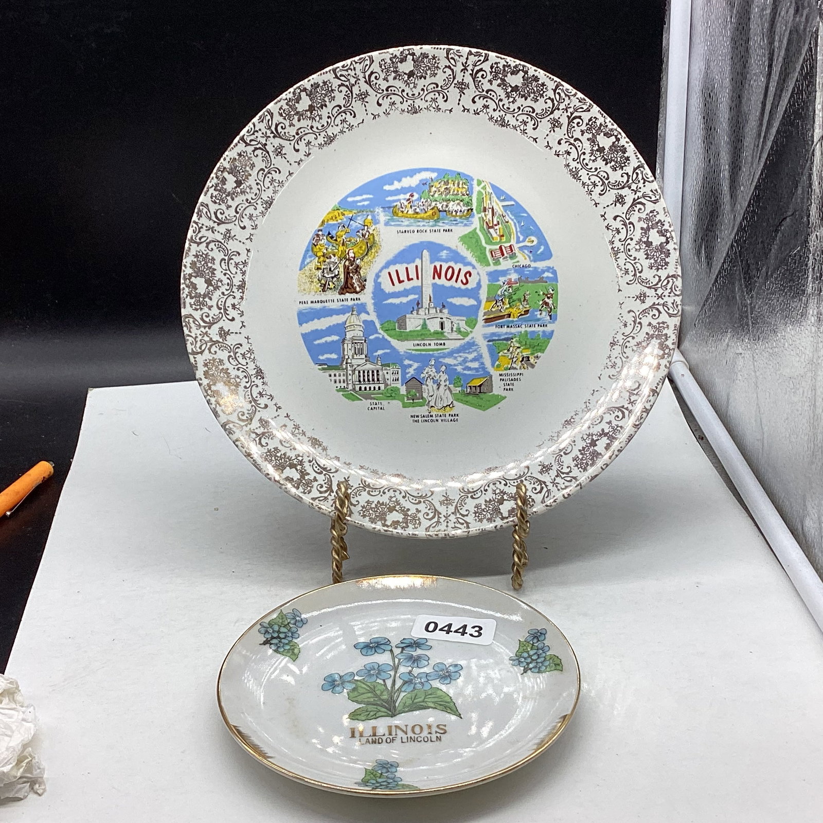 2 PORCELIAN ILLINOES STATE PLATES: 10" AND 6" GOOD SHAPE