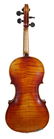 Carlo Bergonzi Violin & Anton Schroetter Bow - 3