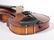 Carlo Bergonzi Violin & Anton Schroetter Bow - 6