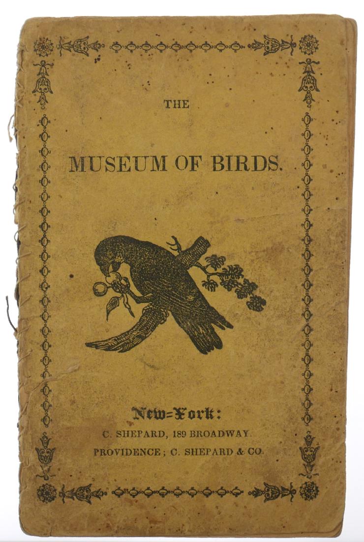 19th Century Chapbook, Museum of Birds: Early 19th Century chapbook titled, The Museum of Birds, published by C. Shepard. Features hand colored illustrations of bird species. Measures 6" tall.